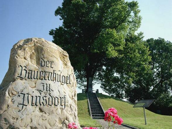 Bauernhügel Pinsdorf