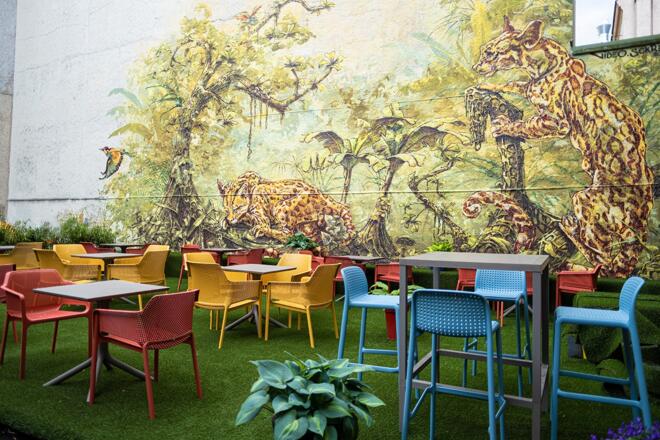 Wandmotiv der Linzer Video und Sckre