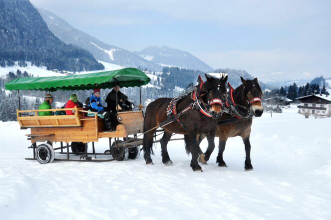 Auf dem Pferdeschlitten durch die Winterlandschaft