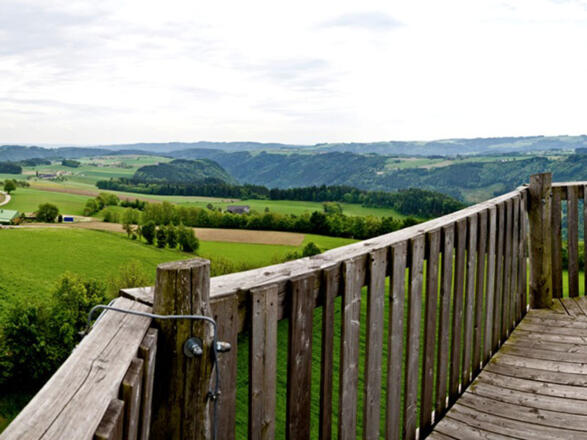 Panoramablick Kirchberg