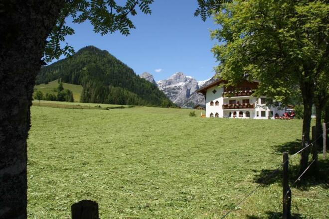 Heuernte &amp; Appartementhaus