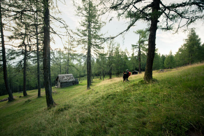 Yoga Energieplatz Eulenwiesen