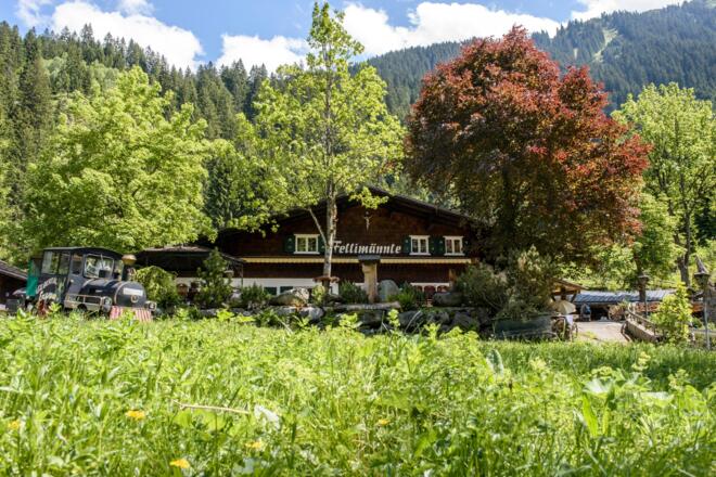 Alpengasthaus Fellimännle