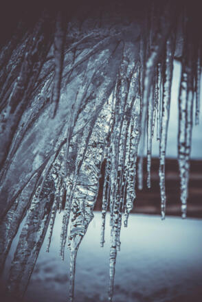 Alpengasthaus Fellimännle