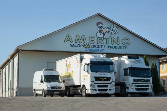 Amering Eiprodukte