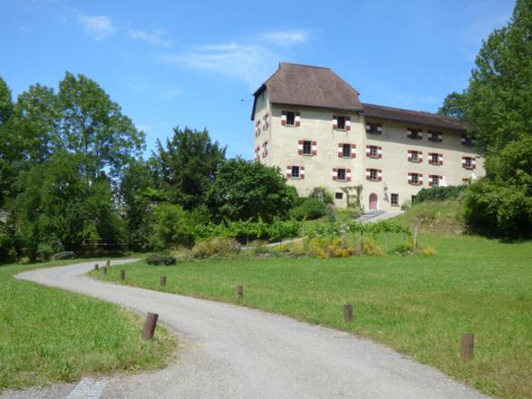 Schloss Amberg