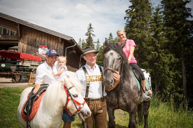 Alpines Pferdezentrum