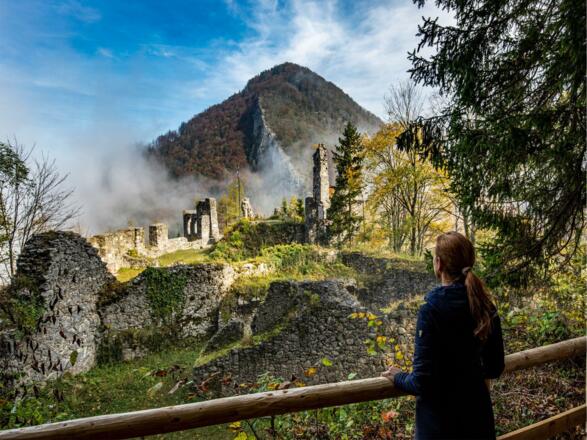Ruine Scharnstein - Waldraum