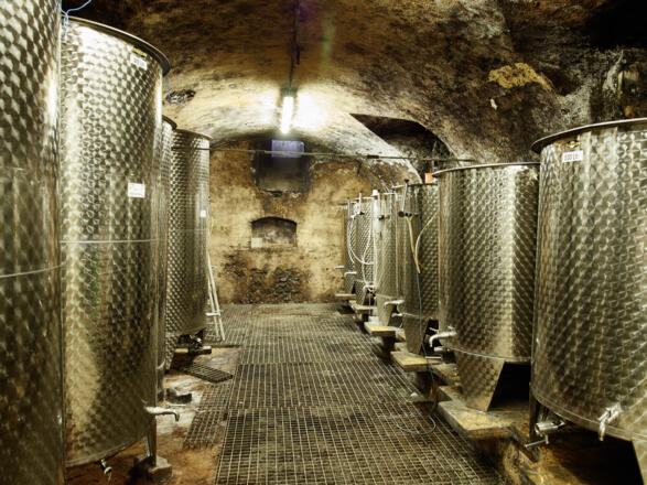 Hof Maleninsky_Enns_151006_855©WGD Donau Oberösterreich Tourismus GmbH-Peter Podpera