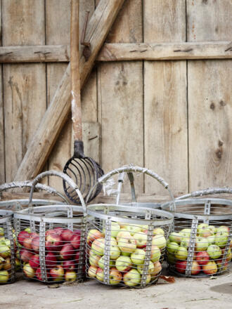 Hof Maleninsky_Enns_151006_818©WGD Donau Oberösterreich Tourismus GmbH-Peter Podpera