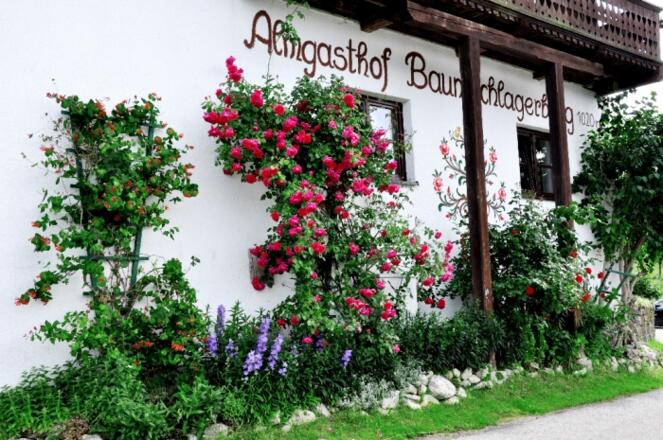 Almgasthof Baumschlagerberg