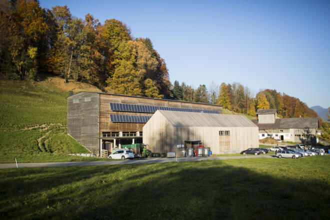 Metzler Käse-Molke GmbH, Egg