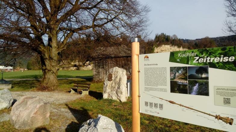 Kuchler Zeitreise - Tafel an Severinlinde