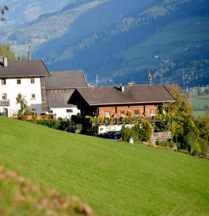 „Natur Pur“ am Reichensberghof