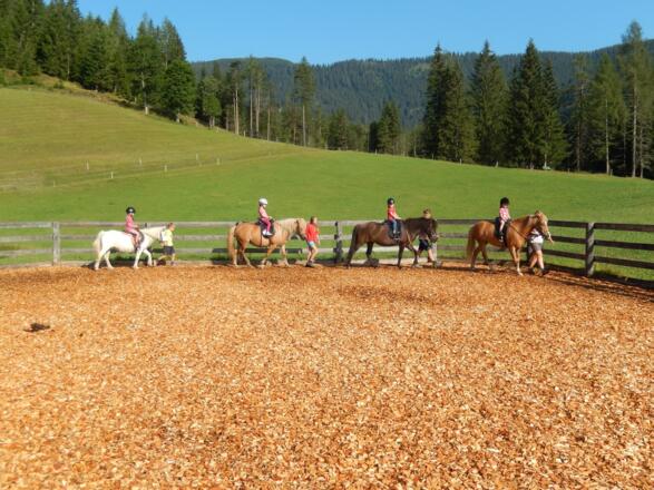 Unser Reitplatz