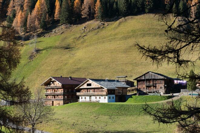 Alfenalm - Ferienwohnungen am Berg