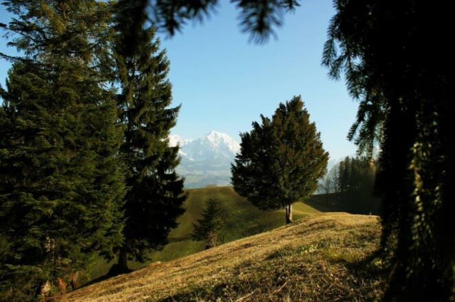 Familienbauernhof Christa