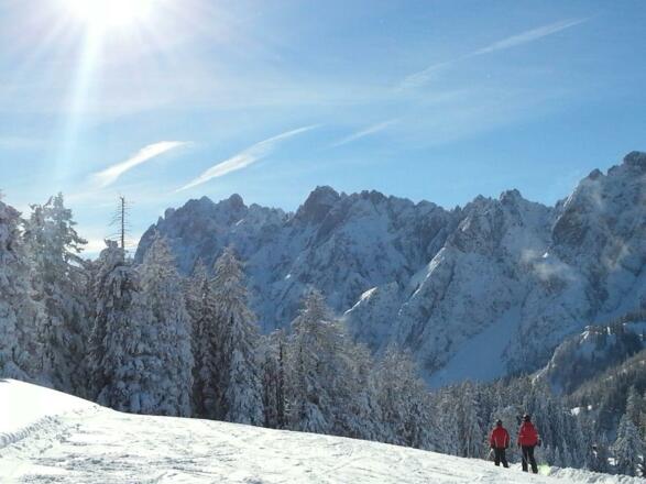 Zwieselalm Dachstein-West