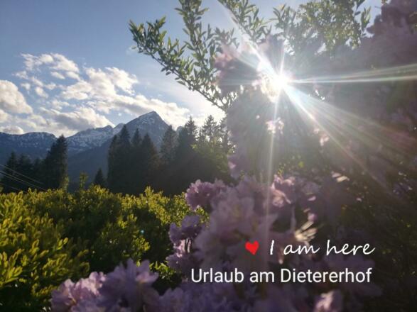 Hausberg Schober von der Terrasse aus