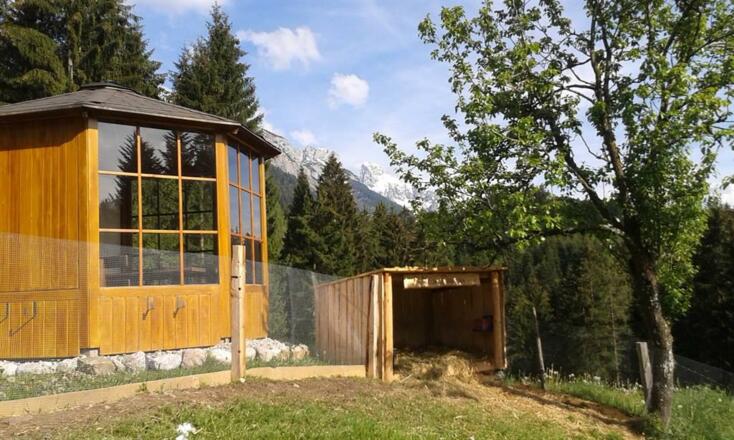 Streichelzoo neben Pavillon