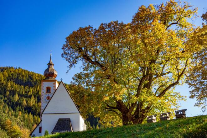 500jährige Linde vor der Kirche