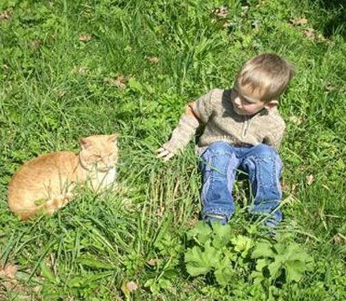 Kater Tommy mit Philipp