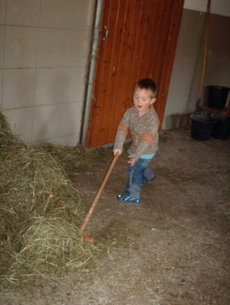 Philipp bei der Stallarbeit