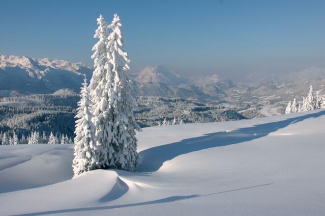 Edtalm Dachstein-West
