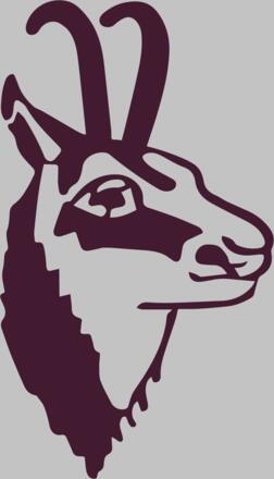 Gamskopf Logo_Kerschbaumer-Pantone