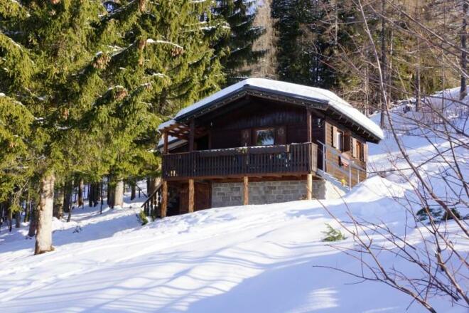 DSC02704 (Small) (2)