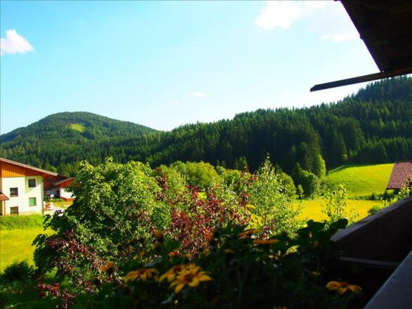 Appartment 1 Aussicht vom Balkon