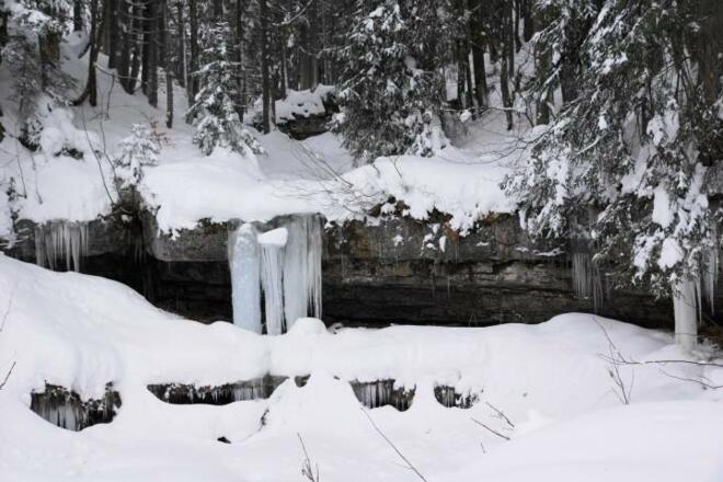 DSC02750 (Small) (2)