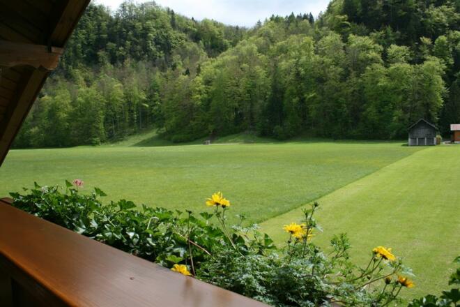 Blick ins Grüne vom Balkon