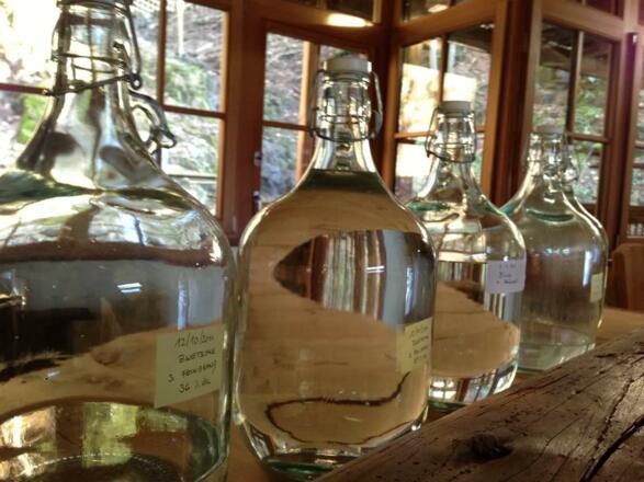 Schnapsflaschen_Feinbrand