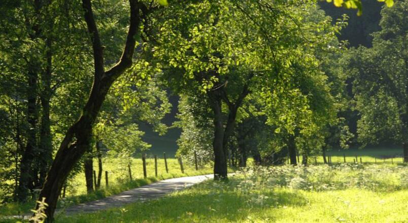 Natur genießen in Golling