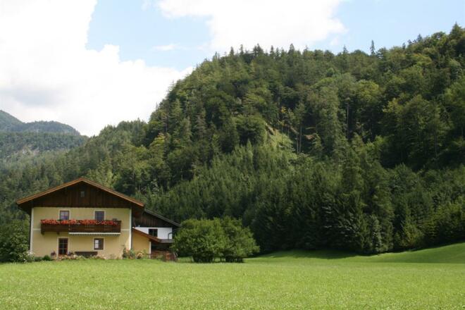 Ansicht aus der Ferne