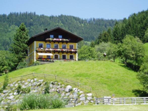 Haus Sommer Vorderansicht