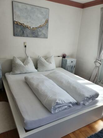 Haus Springl FEWO 2020 März (4)