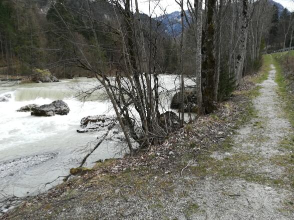 Ein- &amp; Ausstiegsstelle Wildentalbrücke