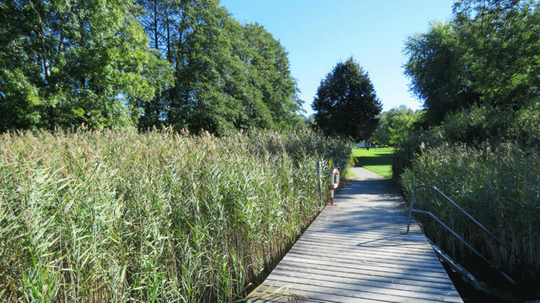 Badeplatz Zell am Moos