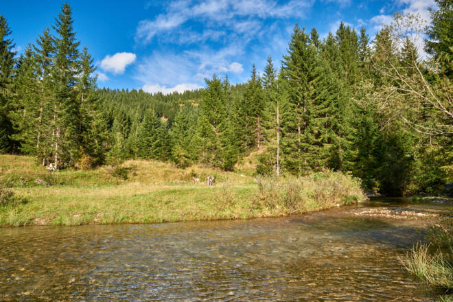 Spielplatz_Waldwinkel