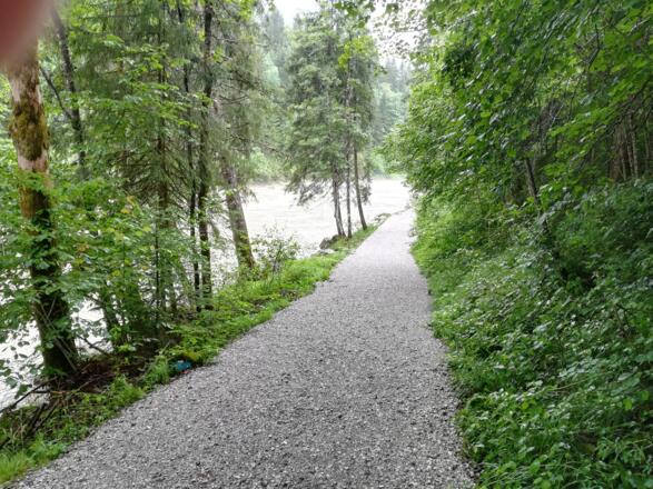 Weg zur Einstiegsstelle Au