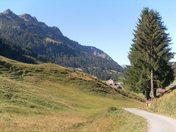 Iferweg Schönenbach