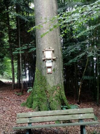 Buche Tomandl%2c Stadl