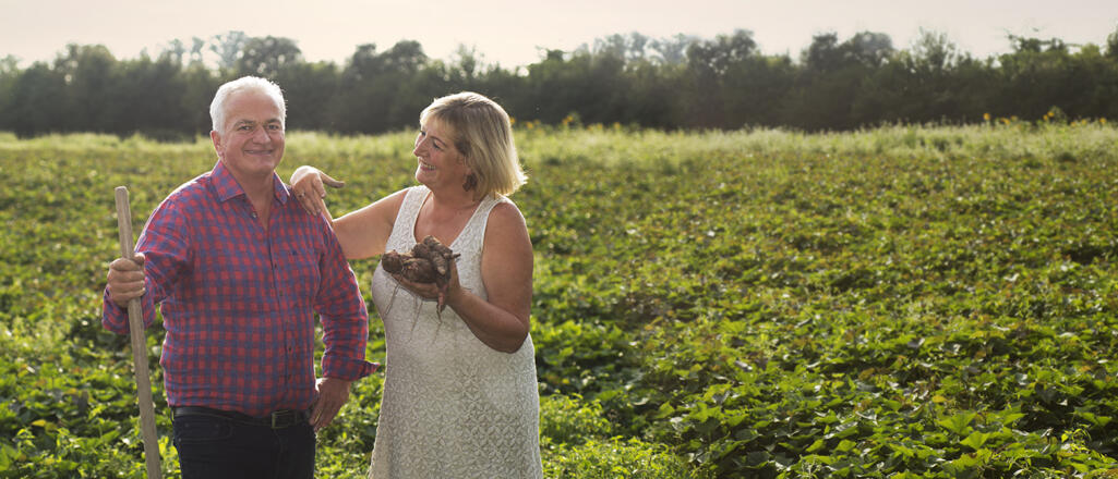 IlseGuenter_6556_banner