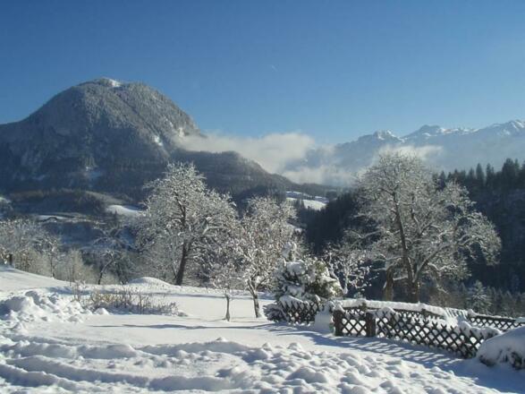 Fotos Weihnachten 2004 088