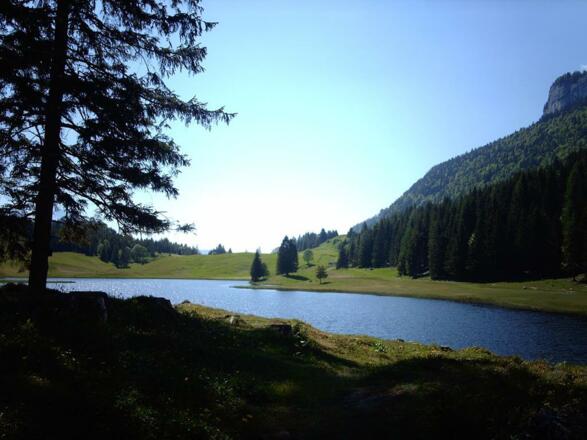 Seewaldsee