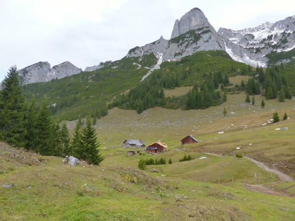 unsere Almhütte mit Übernachtungsmöglichkeit