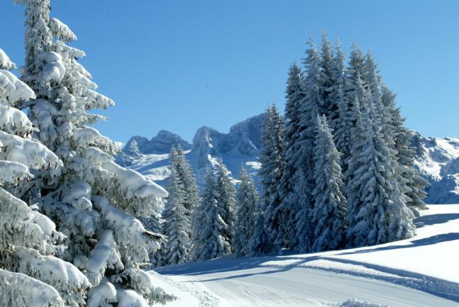 Skiregion Dachstein West