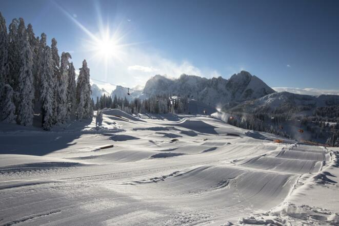 Edtalm mit Gosaukamm